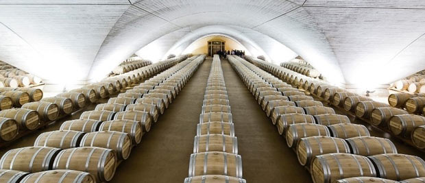 Bodega OTAZU